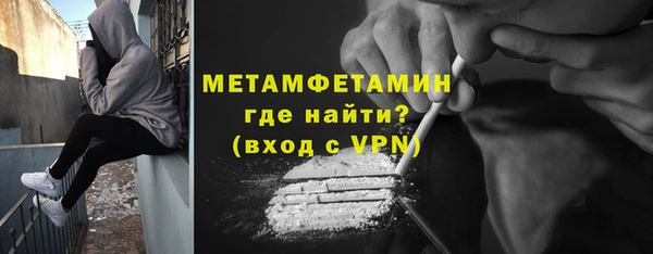 индика Новозыбков