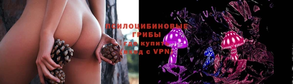 mdpv Новодвинск
