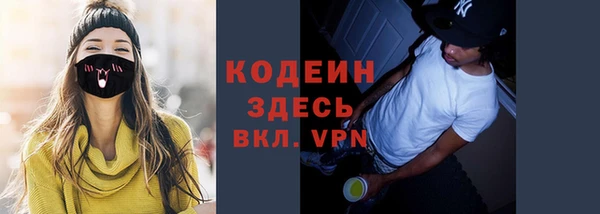 индика Новозыбков