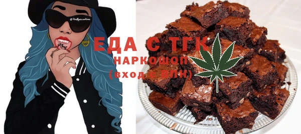 индика Новозыбков