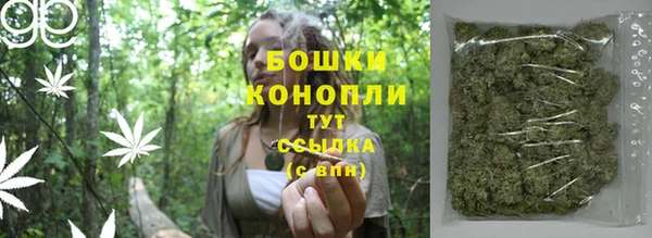 трава Слюдянка