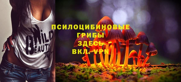 мдпв Новокубанск