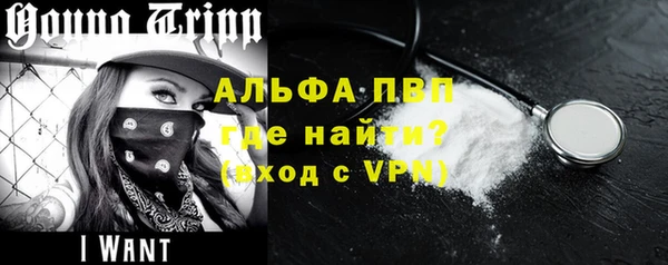 индика Новозыбков