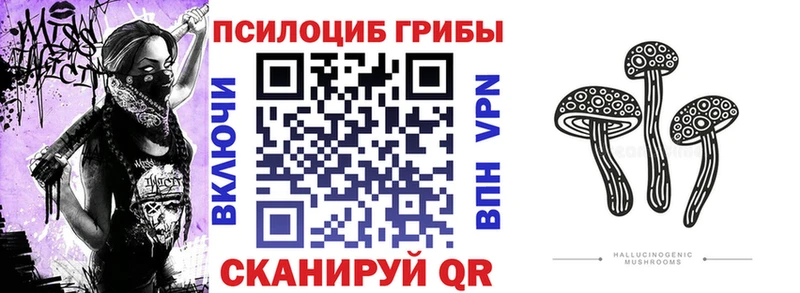 Псилоцибиновые грибы прущие грибы  даркнет сайт  Тырныауз 