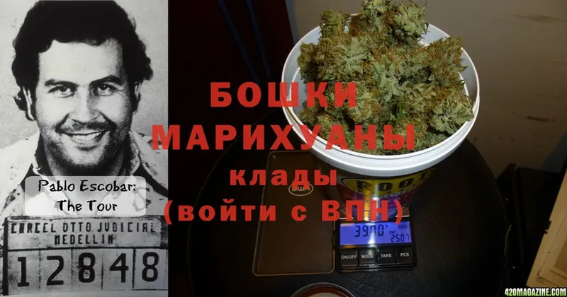 Канабис Bruce Banner  что такое   Тырныауз 